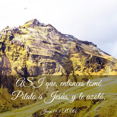 Picture 03 - Juan 19:1 RVA - ASI que, entonces tomó Pilato á Jesús, y le - Bible Verse Picture
