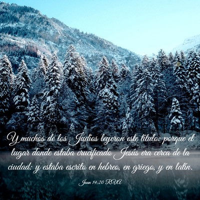 Picture 03 - Juan 19:20 RVA - Y muchos de los Judíos leyeron este título: - Bible Verse Picture