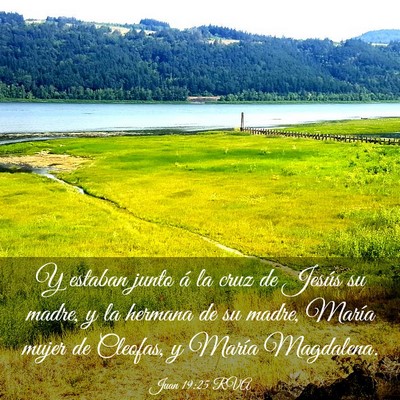 Picture 03 - Juan 19:25 RVA - Y estaban junto á la cruz de Jesús su madre, y - Bible Verse Picture