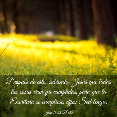 Picture 03 - Juan 19:28 RVA - Después de esto, sabiendo Jesús que todas las - Bible Verse Picture