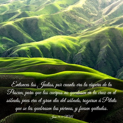 Picture 03 - Juan 19:31 RVA - Entonces los Judíos, por cuanto era la víspera - Bible Verse Picture