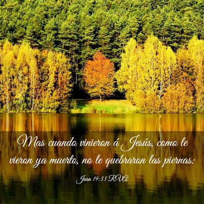 Picture 03 - Juan 19:33 RVA - Mas cuando vinieron á Jesús, como le vieron ya - Bible Verse Picture
