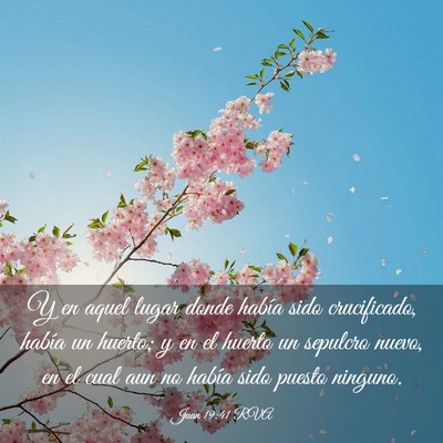 Picture 03 - Juan 19:41 RVA - Y en aquel lugar donde había sido crucificado, - Bible Verse Picture