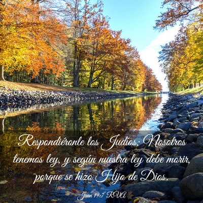 Picture 03 - Juan 19:7 RVA - Respondiéronle los Judíos: Nosotros tenemos - Bible Verse Picture