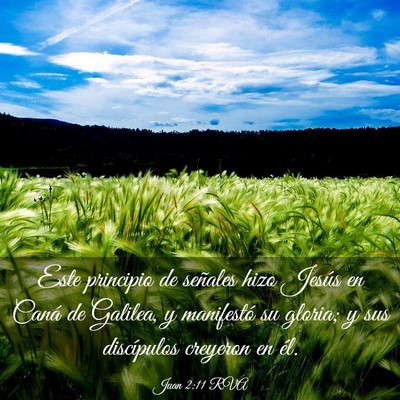 Picture 03 - Juan 2:11 RVA - Este principio de señales hizo Jesús en Caná - Bible Verse Picture