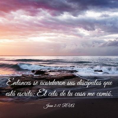 Picture 03 - Juan 2:17 RVA - Entonces se acordaron sus discípulos que está - Bible Verse Picture