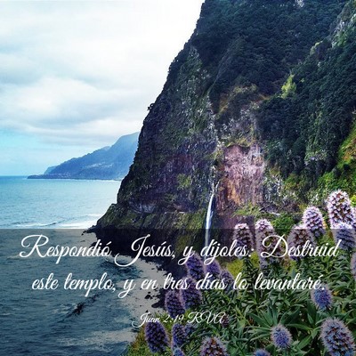 Picture 03 - Juan 2:19 RVA - Respondió Jesús, y díjoles: Destruid este - Bible Verse Picture