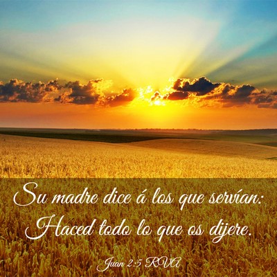 Picture 03 - Juan 2:5 RVA - Su madre dice á los que servían: Haced todo lo - Bible Verse Picture