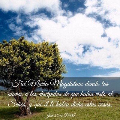 Picture 03 - Juan 20:18 RVA - Fué María Magdalena dando las nuevas á los - Bible Verse Picture