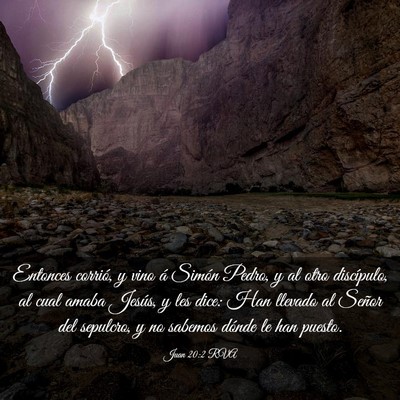 Picture 03 - Juan 20:2 RVA - Entonces corrió, y vino á Simón Pedro, y al - Bible Verse Picture