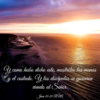 Picture 03 - Juan 20:20 RVA - Y como hubo dicho esto, mostróles las manos y el - Bible Verse Picture