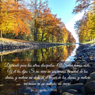 Picture 03 - Juan 20:25 RVA - Dijéronle pues los otros discípulos: Al Señor - Bible Verse Picture