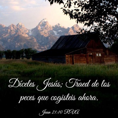 Picture 03 - Juan 21:10 RVA - Díceles Jesús; Traed de los peces que cogisteis - Bible Verse Picture