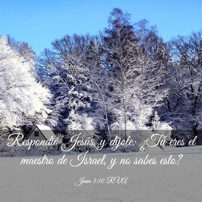 Picture 03 - Juan 3:10 RVA - Respondió Jesús, y díjole: ¿Tú eres el - Bible Verse Picture