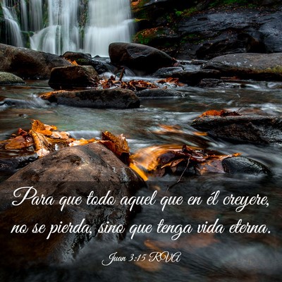 Picture 03 - Juan 3:15 RVA - Para que todo aquel que en él creyere, no se - Bible Verse Picture