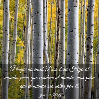 Picture 03 - Juan 3:17 RVA - Porque no envió Dios á su Hijo al mundo, para - Bible Verse Picture