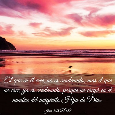 Picture 03 - Juan 3:18 RVA - El que en él cree, no es condenado; mas el que - Bible Verse Picture