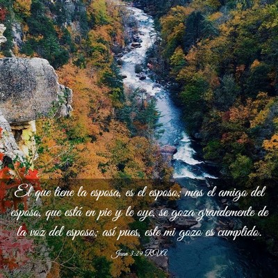 Picture 03 - Juan 3:29 RVA - El que tiene la esposa, es el esposo; mas el - Bible Verse Picture