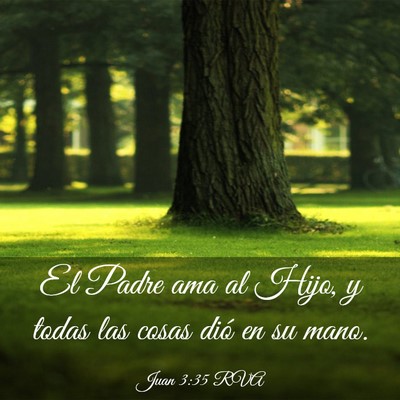 Picture 03 - Juan 3:35 RVA - El Padre ama al Hijo, y todas las cosas dió en - Bible Verse Picture