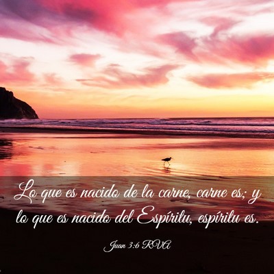 Picture 03 - Juan 3:6 RVA - Lo que es nacido de la carne, carne es; y lo que - Bible Verse Picture