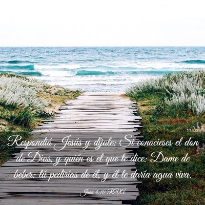 Picture 03 - Juan 4:10 RVA - Respondió Jesús y díjole: Si conocieses el don - Bible Verse Picture