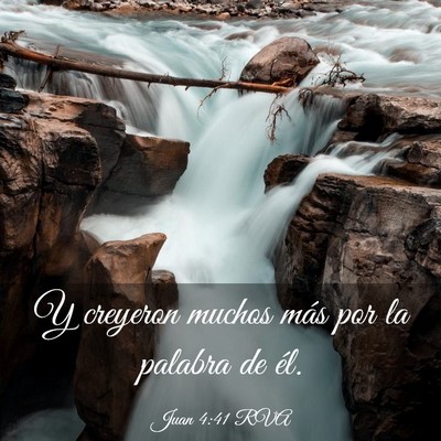 Picture 03 - Juan 4:41 RVA - Y creyeron muchos más por la palabra de - Bible Verse Picture