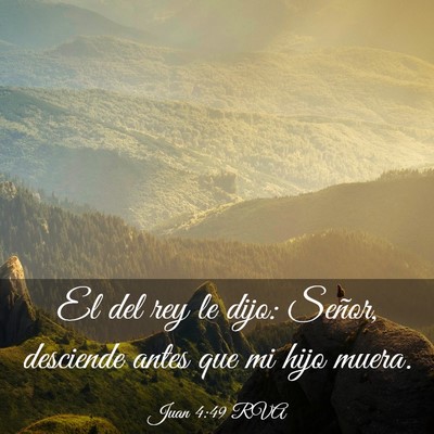 Picture 03 - Juan 4:49 RVA - El del rey le dijo: Señor, desciende antes que - Bible Verse Picture