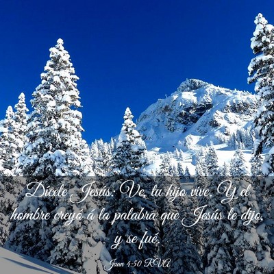 Picture 03 - Juan 4:50 RVA - Dícele Jesús: Ve, tu hijo vive. Y el hombre - Bible Verse Picture