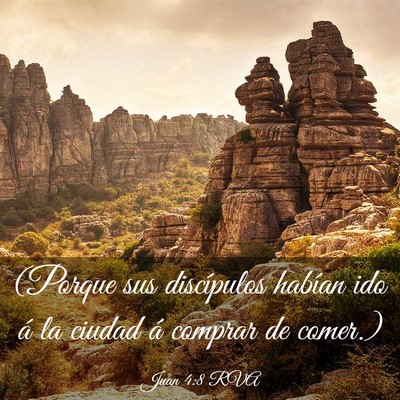 Picture 03 - Juan 4:8 RVA - (Porque sus discípulos habían ido á la ciudad - Bible Verse Picture