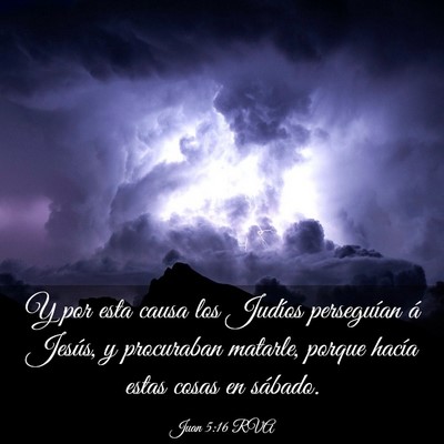 Picture 03 - Juan 5:16 RVA - Y por esta causa los Judíos perseguían á - Bible Verse Picture