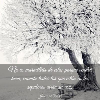 Picture 03 - Juan 5:28 RVA - No os maravilléis de esto; porque vendrá hora, - Bible Verse Picture