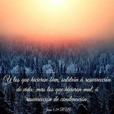 Picture 03 - Juan 5:29 RVA - Y los que hicieron bien, saldrán á - Bible Verse Picture