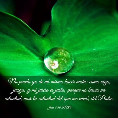 Picture 03 - Juan 5:30 RVA - No puedo yo de mí mismo hacer nada: como oigo, - Bible Verse Picture