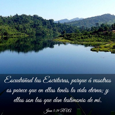 Picture 03 - Juan 5:39 RVA - Escudriñad las Escrituras, porque á vosotros os - Bible Verse Picture