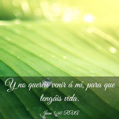 Picture 03 - Juan 5:40 RVA - Y no queréis venir á mí, para que tengáis - Bible Verse Picture