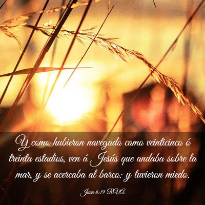 Picture 03 - Juan 6:19 RVA - Y como hubieron navegado como veinticinco ó - Bible Verse Picture