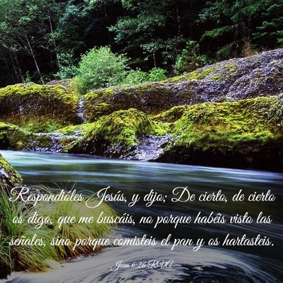 Picture 03 - Juan 6:26 RVA - Respondióles Jesús, y dijo; De cierto, de - Bible Verse Picture