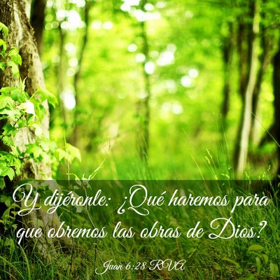 Picture 03 - Juan 6:28 RVA - Y dijéronle: ¿Qué haremos para que obremos las - Bible Verse Picture