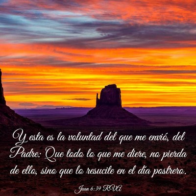 Picture 03 - Juan 6:39 RVA - Y esta es la voluntad del que me envió, del - Bible Verse Picture