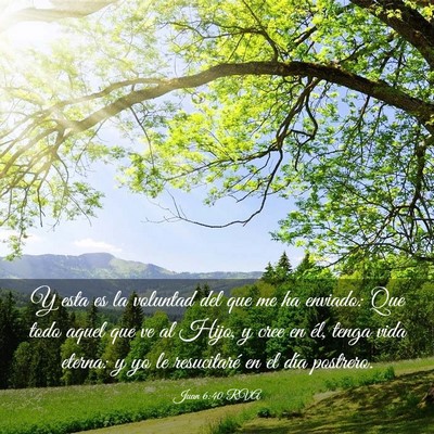 Picture 03 - Juan 6:40 RVA - Y esta es la voluntad del que me ha enviado: Que - Bible Verse Picture