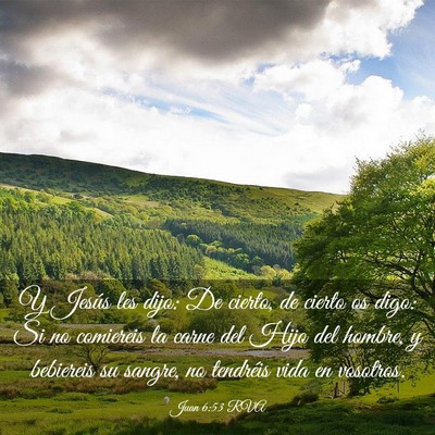Picture 03 - Juan 6:53 RVA - Y Jesús les dijo: De cierto, de cierto os digo: - Bible Verse Picture