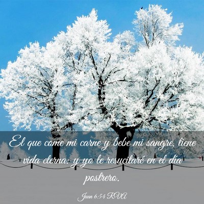 Picture 03 - Juan 6:54 RVA - El que come mi carne y bebe mi sangre, tiene vida - Bible Verse Picture