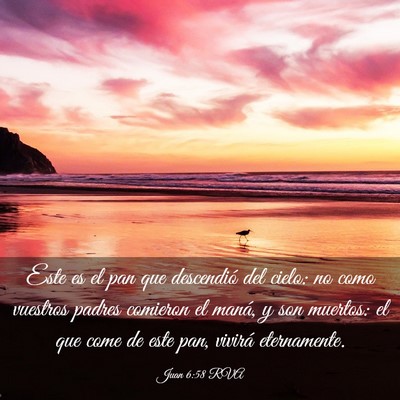 Picture 03 - Juan 6:58 RVA - Este es el pan que descendió del cielo: no como - Bible Verse Picture