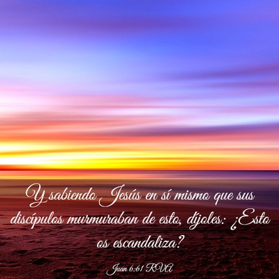 Picture 03 - Juan 6:61 RVA - Y sabiendo Jesús en sí mismo que sus - Bible Verse Picture