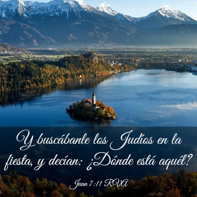Picture 03 - Juan 7:11 RVA - Y buscábanle los Judíos en la fiesta, y - Bible Verse Picture