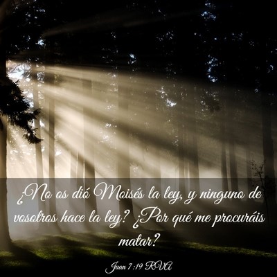 Picture 03 - Juan 7:19 RVA - ¿No os dió Moisés la ley, y ninguno de - Bible Verse Picture