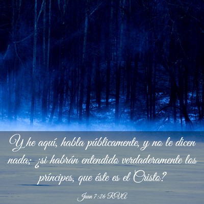 Picture 03 - Juan 7:26 RVA - Y he aquí, habla públicamente, y no le dicen - Bible Verse Picture