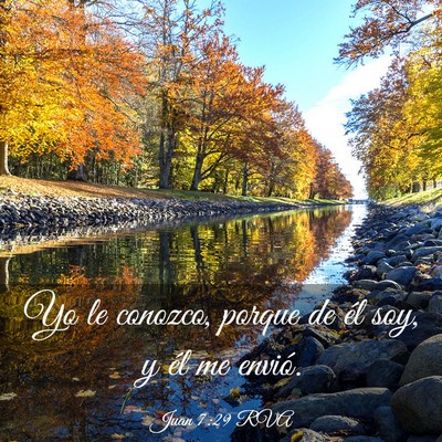Picture 03 - Juan 7:29 RVA - Yo le conozco, porque de él soy, y él me - Bible Verse Picture