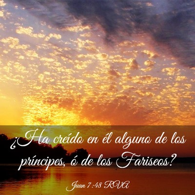 Picture 03 - Juan 7:48 RVA - ¿Ha creído en él alguno de los príncipes, ó - Bible Verse Picture
