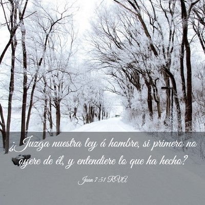 Picture 03 - Juan 7:51 RVA - ¿Juzga nuestra ley á hombre, si primero no - Bible Verse Picture